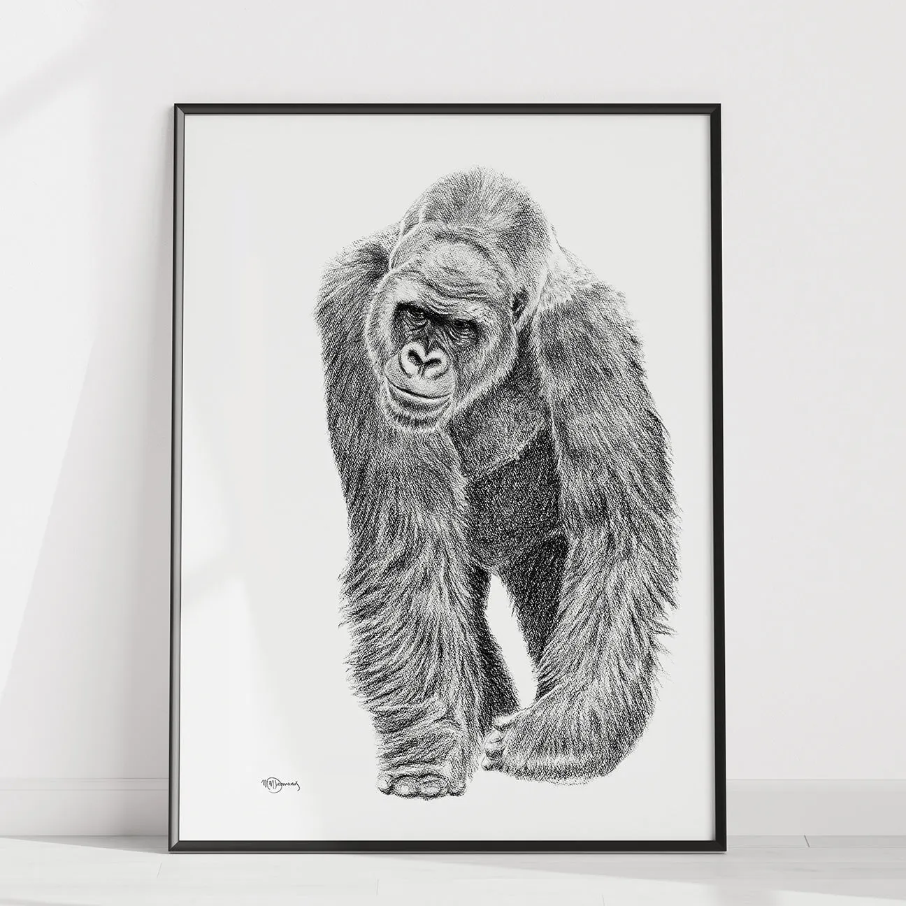 Gorilla illustration - collaboration with La Fondation du Zoo de Granby