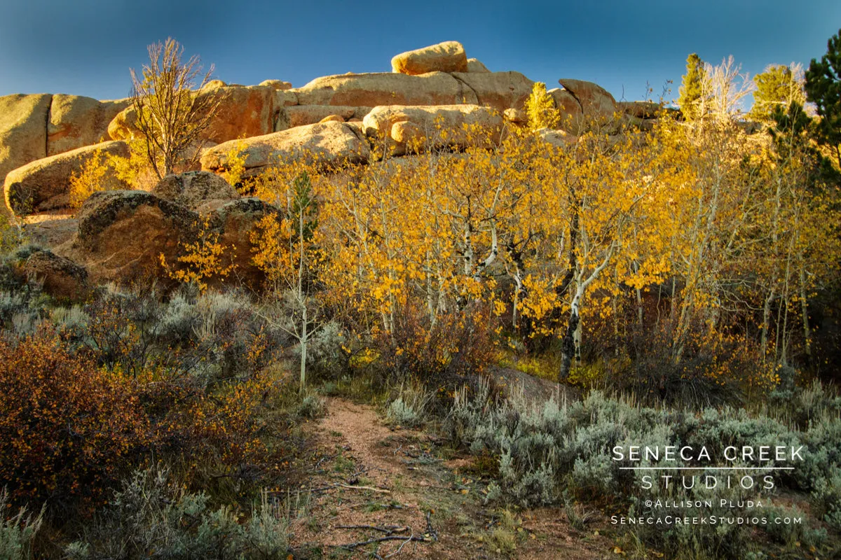 "Fall Wyoming Landscape" 16x24 Fine Art Metal Print - Scratch and Dent Sale