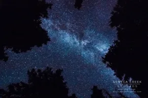 SALE - "Gazing Up at the Milky Way through the Trees in Wyoming" Fine Art Photographic Print - Scratch and Dent Sale